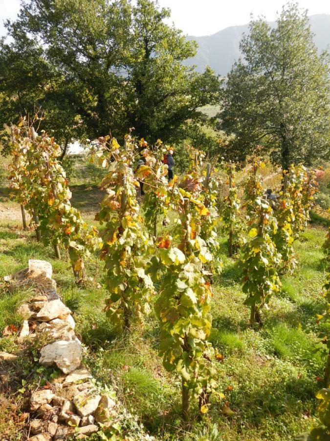 Ferme De La Bonnefontaine Hotel Plats Екстериор снимка